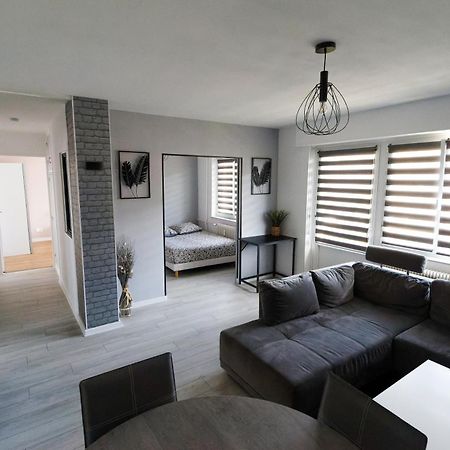 Agreable Et Spacieux Appartement Lumineux T4 Alsace Riedisheim ภายนอก รูปภาพ